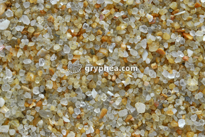 Sable - Plage de La Baule x2 - gryphea.org